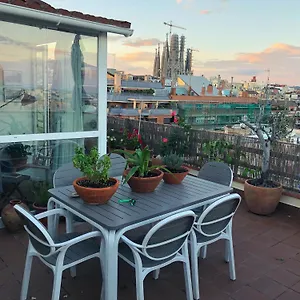 The Terrace In Apartment *