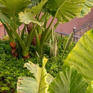 Bed & Breakfast Verdi 254 Barcelona